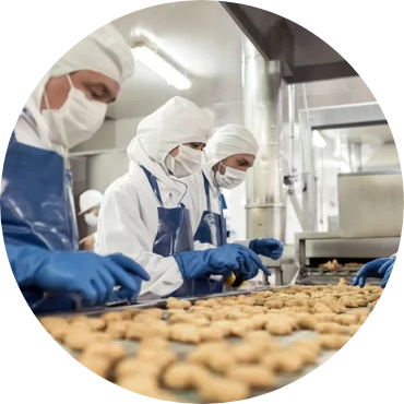 Food & Beverages Industry