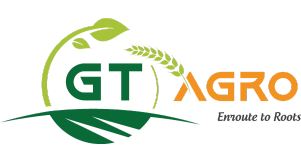 GT AGRO